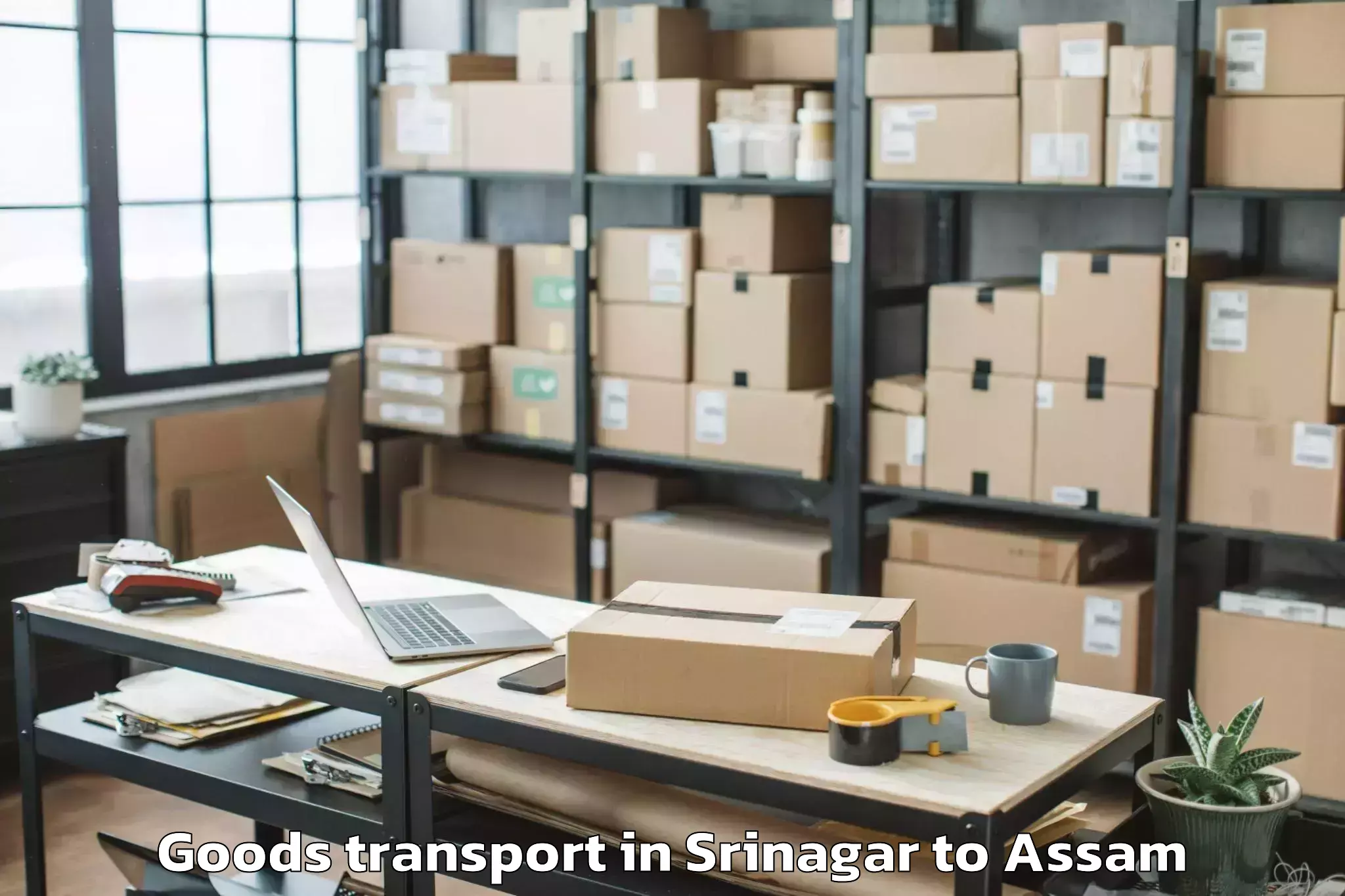 Reliable Srinagar to Jagiroad Goods Transport